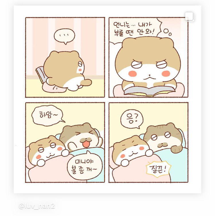 코다리아저씨홍코 이미지