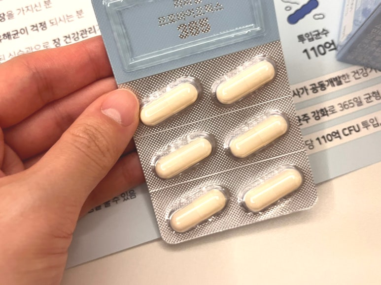 라파힐 이미지