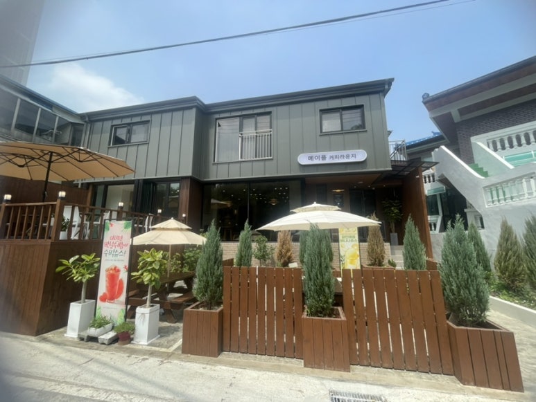 메이플커피라운지 이미지