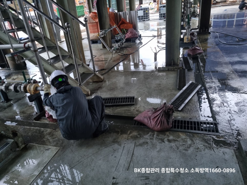 비케이인력 이미지