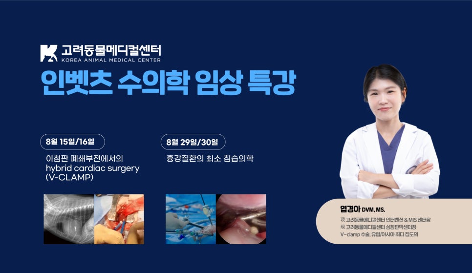 인벳츠 이미지