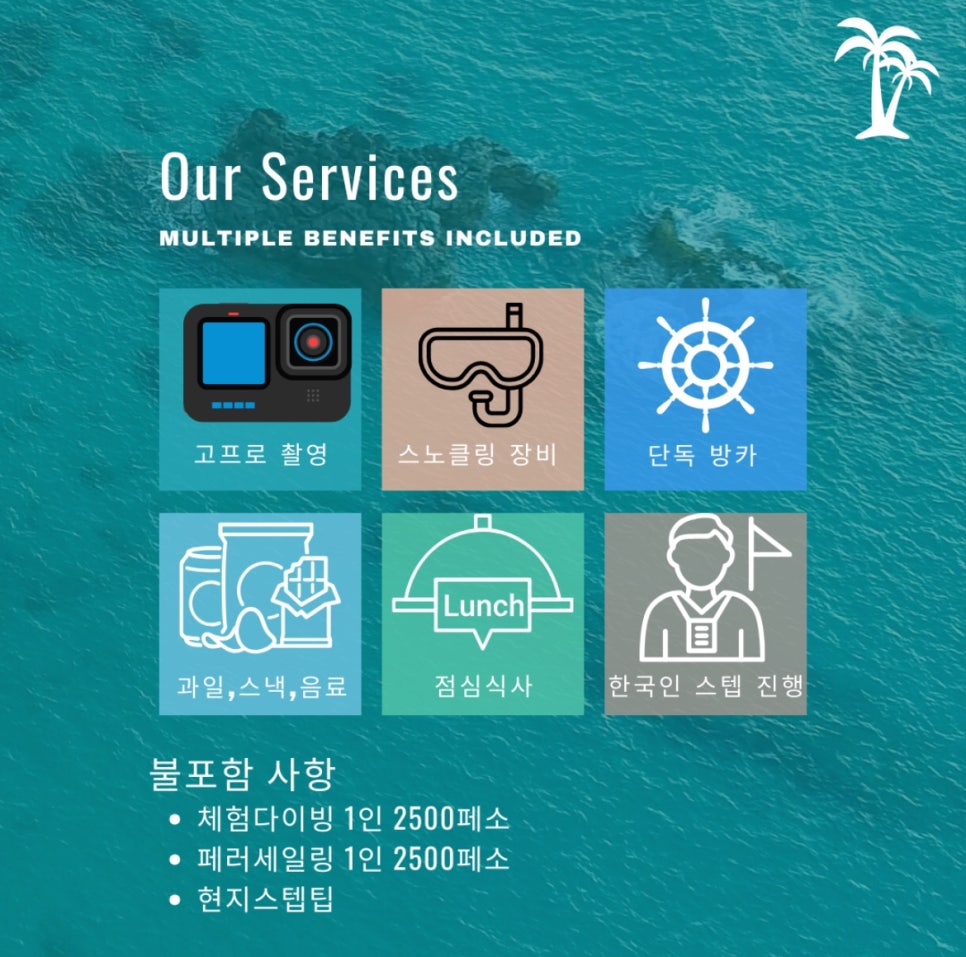 올서비스투어 이미지