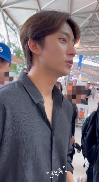 고고씽 이미지