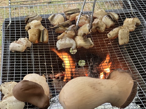 산내956 이미지