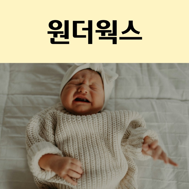 원더웍스 이미지