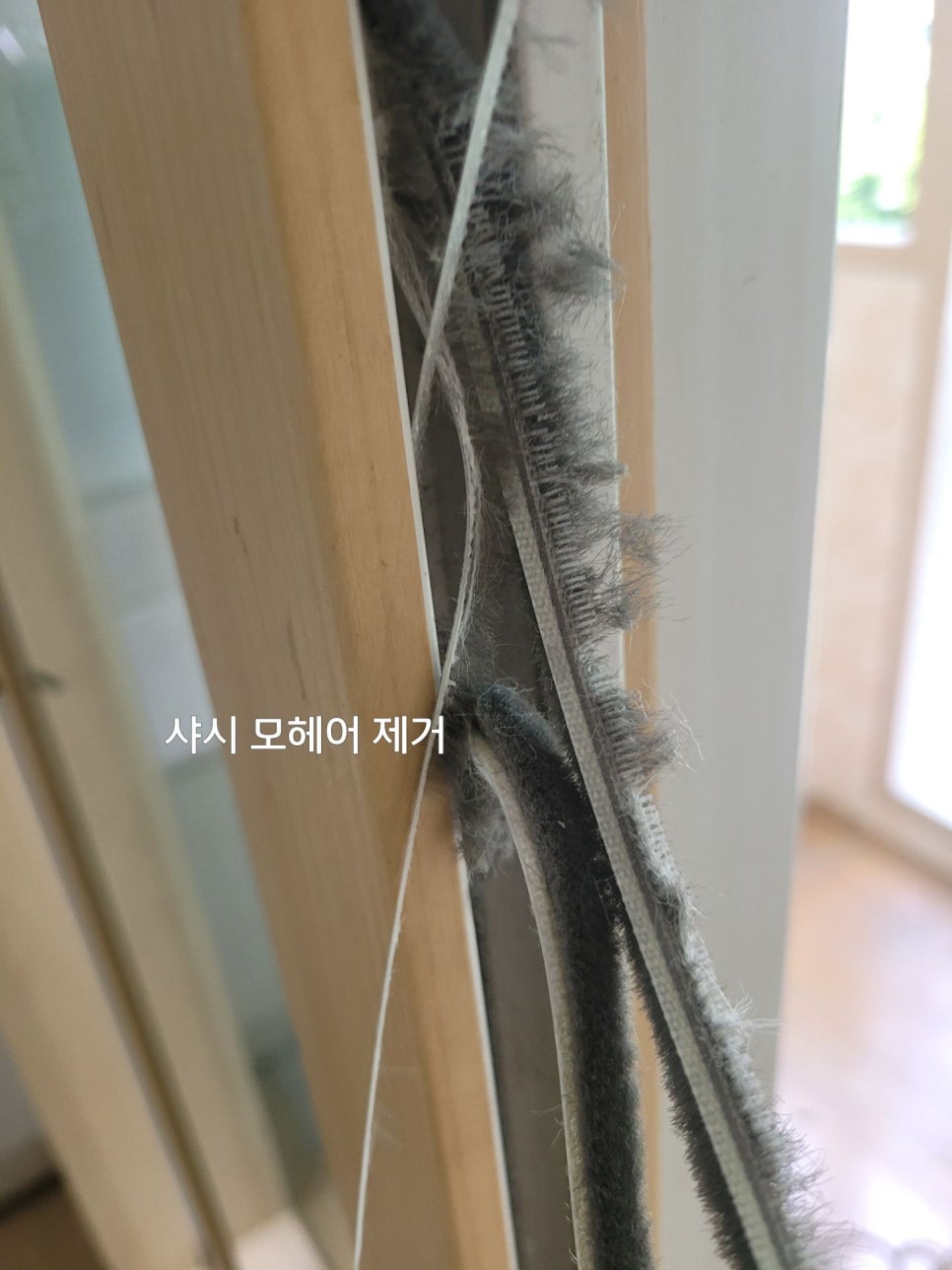 샷시모헤어닷컴 이미지