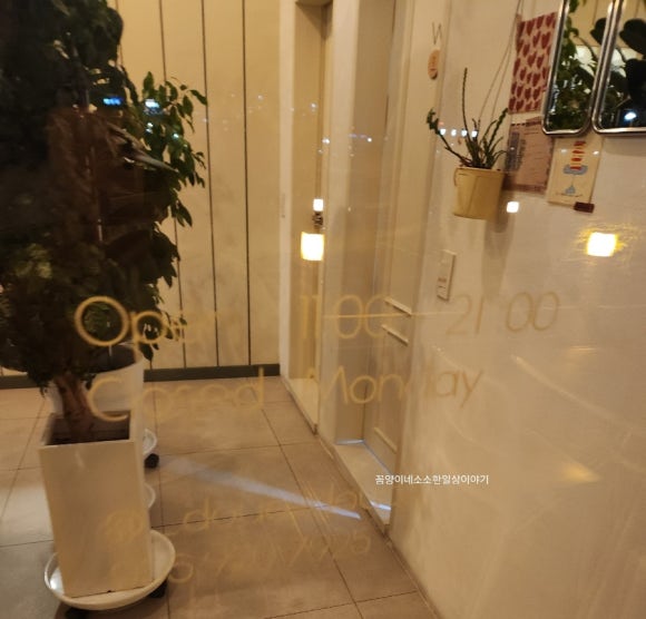 두스두스 이미지