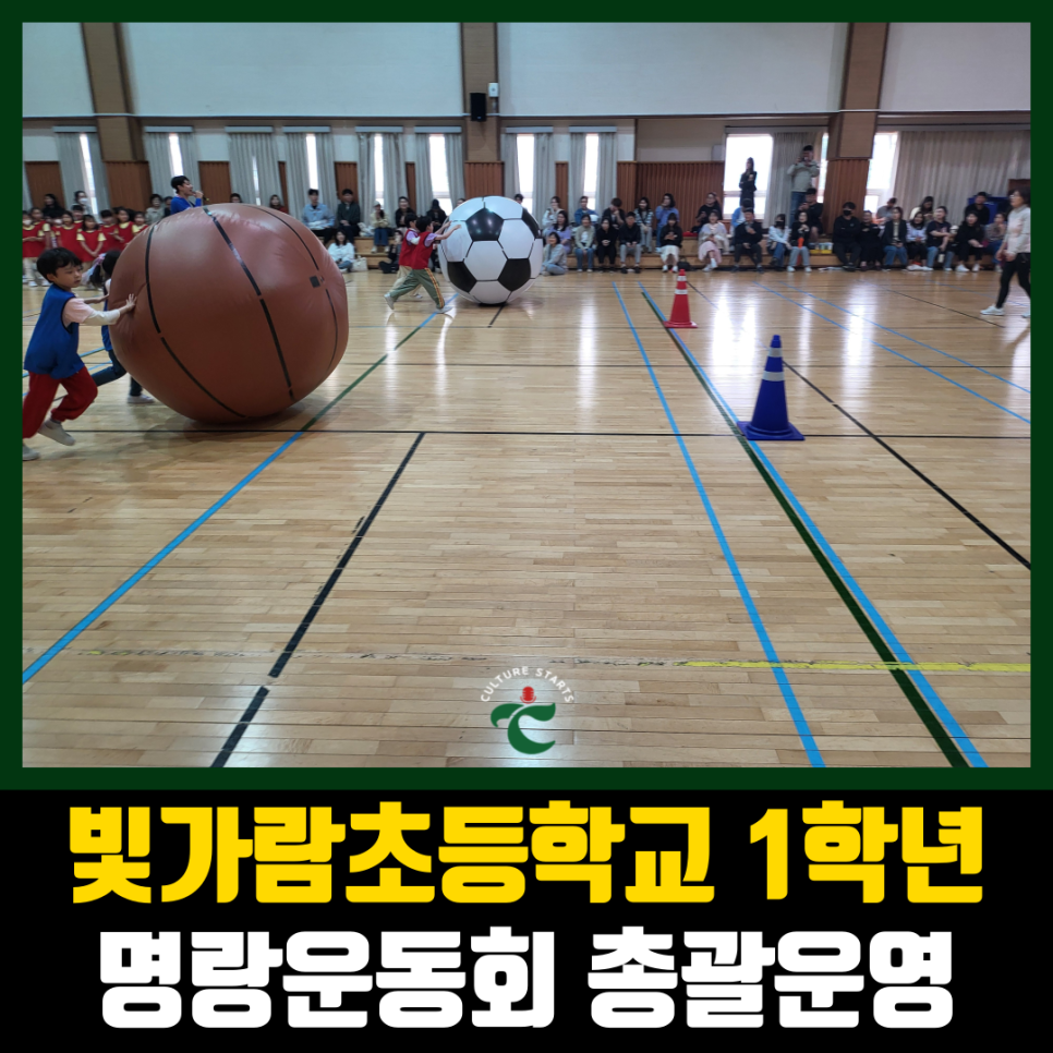빛가람초등학교 이미지