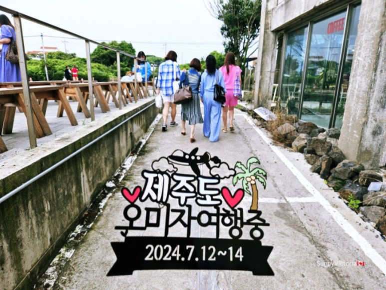 스윗해_제주 이미지