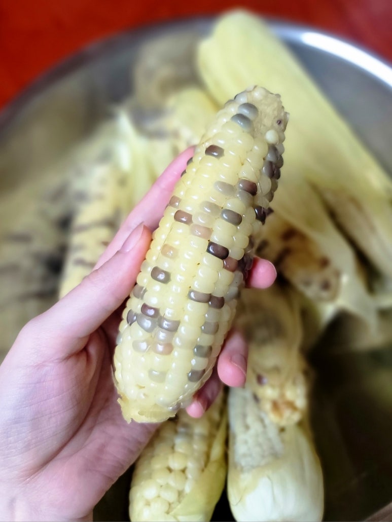 까까동 이미지
