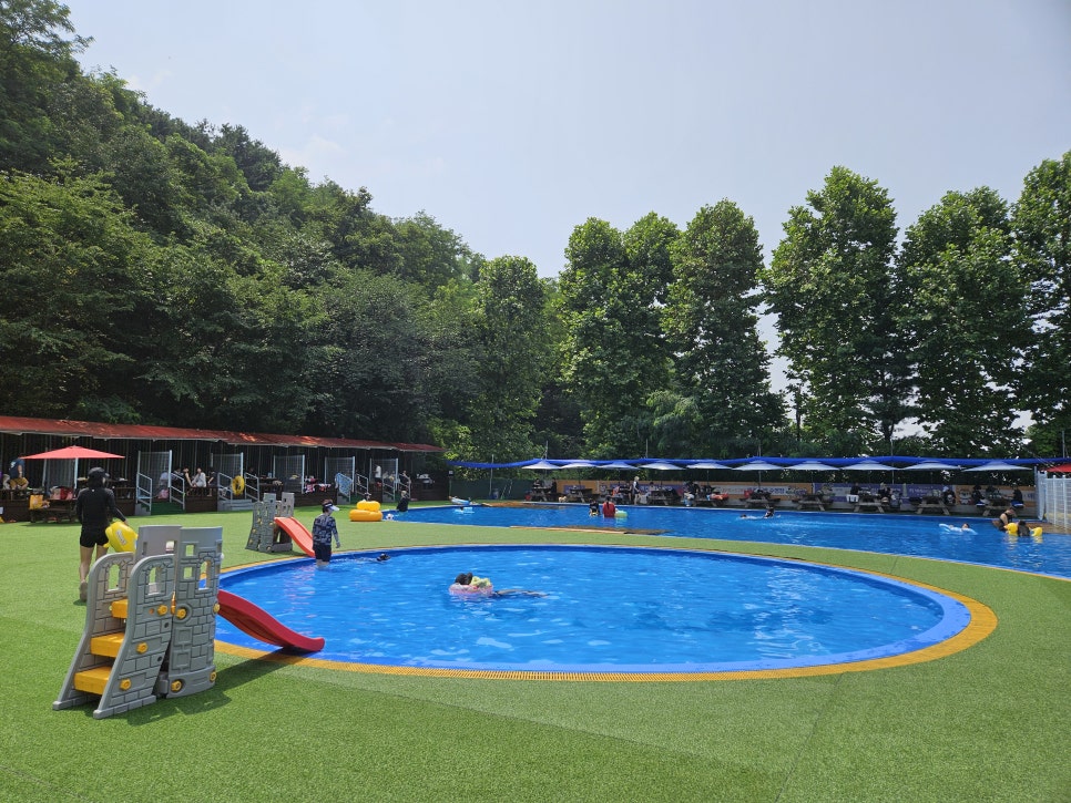 용인 애견 수영장, 취사 가능한 골드펫앤도그베이 — 사진 14