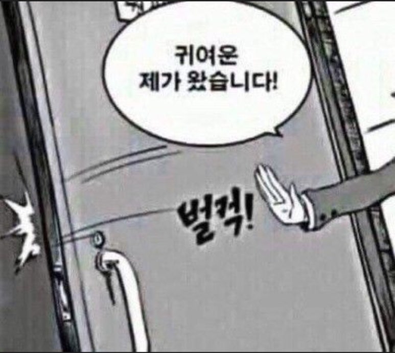 태이 이미지