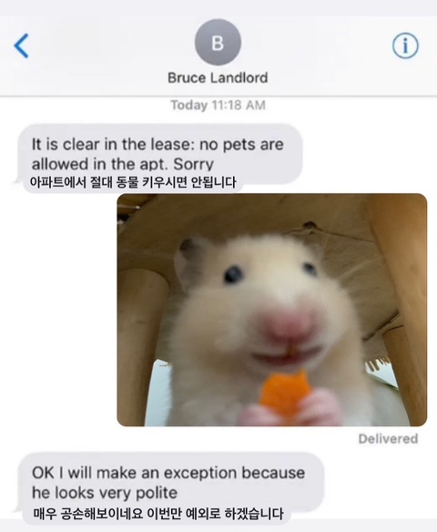 샐러드바스켓 이미지