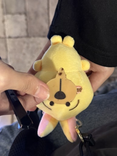 현호익스프레스 이미지