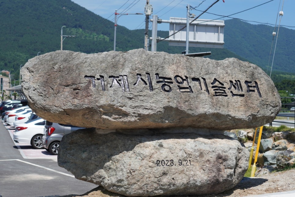 미로달 이미지