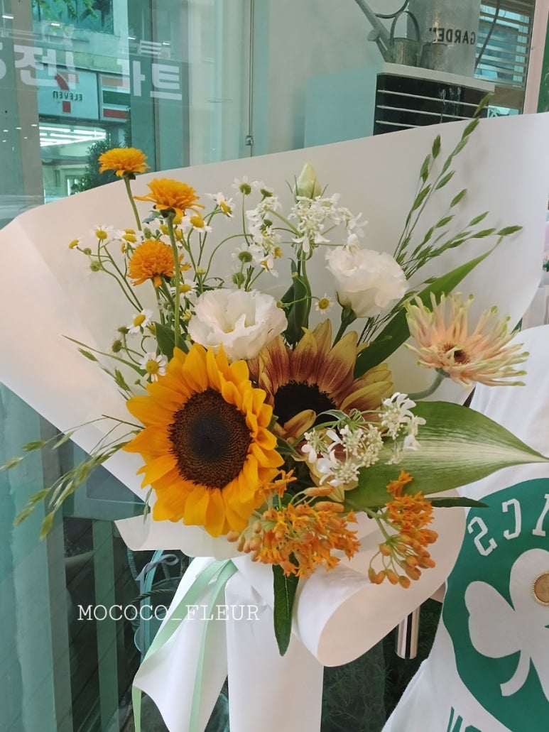 모코코플레르 이미지