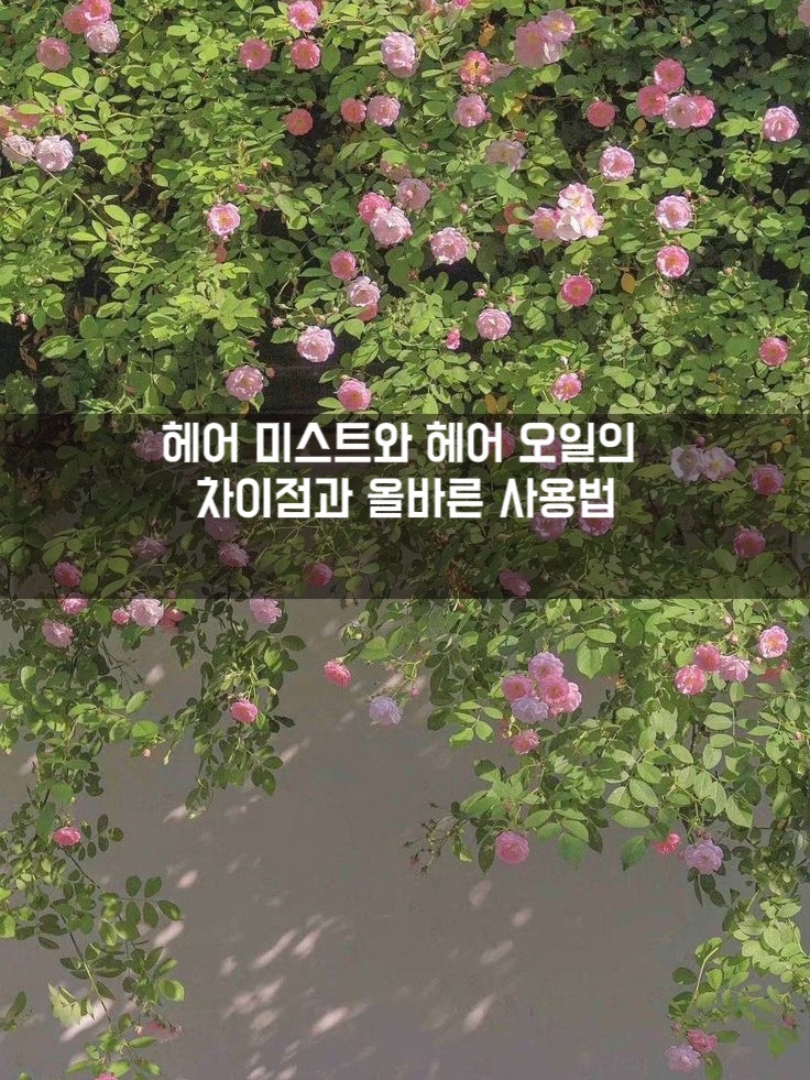초연미용실 이미지