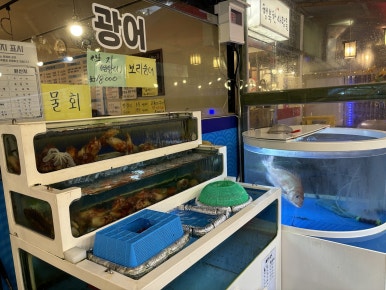 살아생전회 이미지