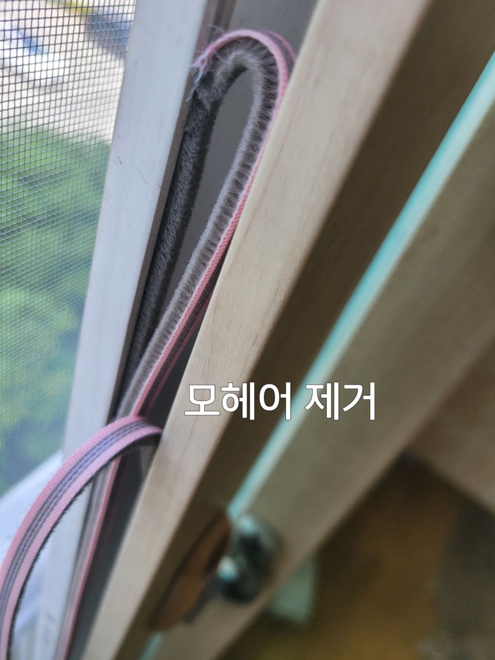 샷시모헤어닷컴 이미지