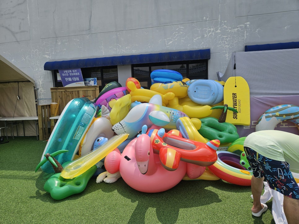 용인 애견 수영장, 취사 가능한 골드펫앤도그베이 — 사진 6