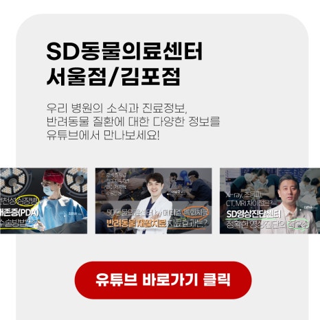 인벳츠 이미지