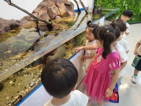 고산 산림교육센터 이미지