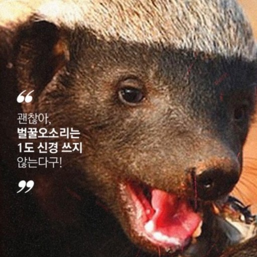 스타벅스 앞 이미지