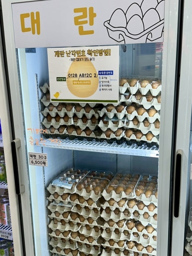 알줍 이미지