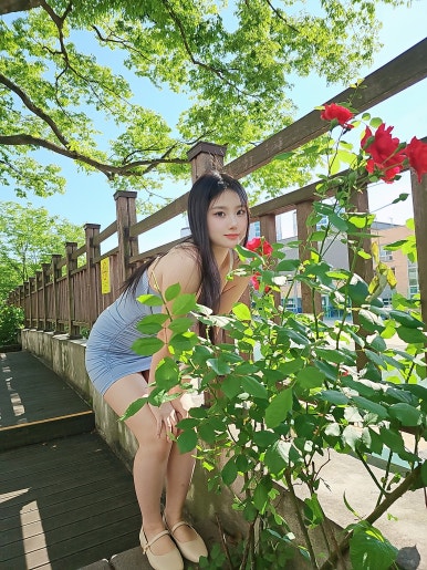 에요컴퍼니 이미지