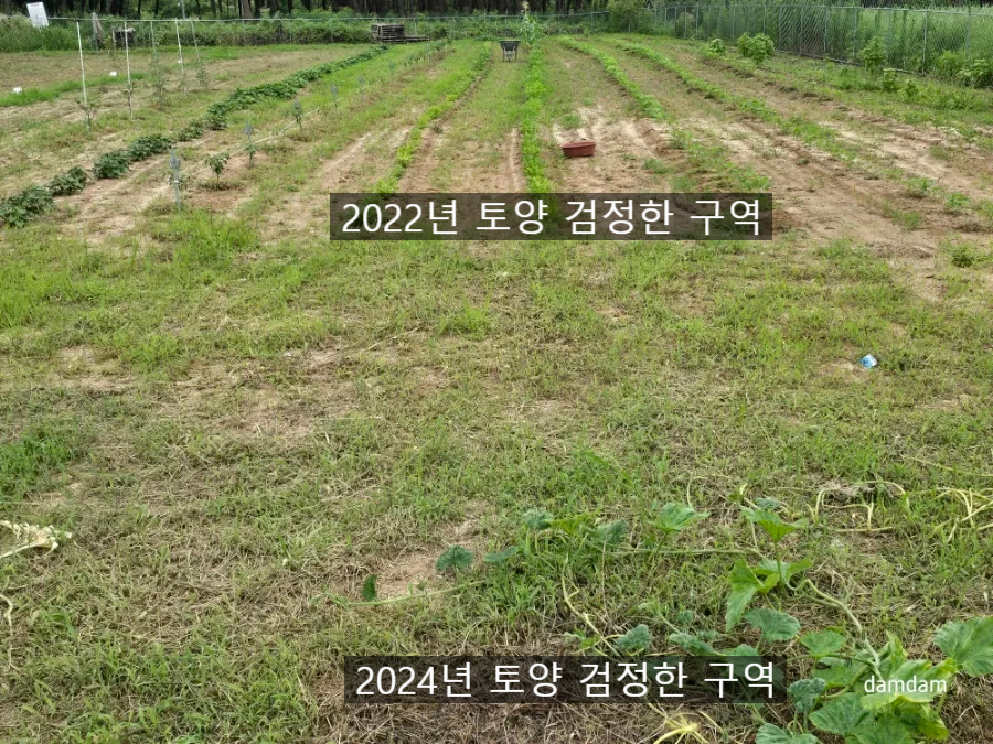 용성땅콩 이미지