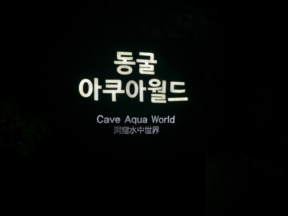 광명드라이브 이미지