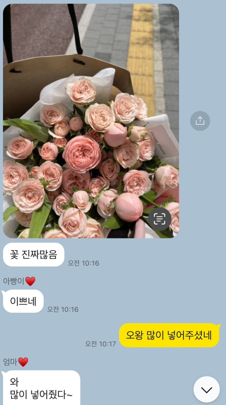 꽃바바 이미지