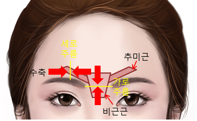 엄지연합의원 이미지