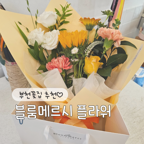 시드블룸 이미지