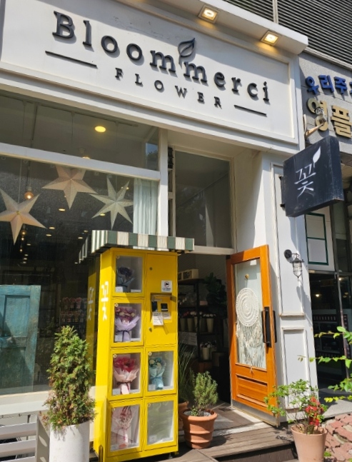 시드블룸 이미지