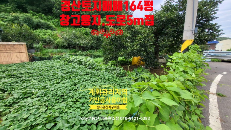 용지온천 이미지