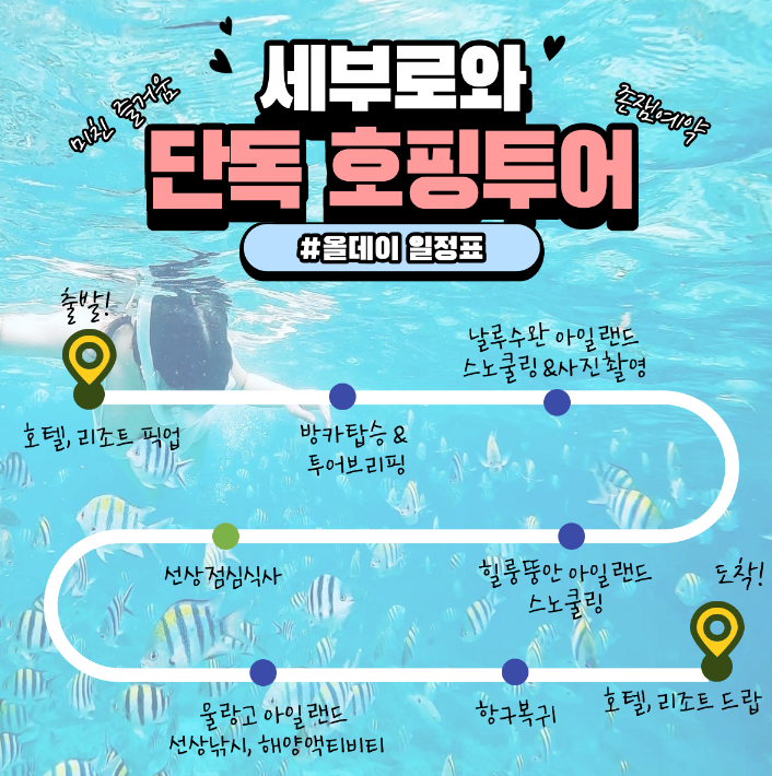 올서비스투어 이미지