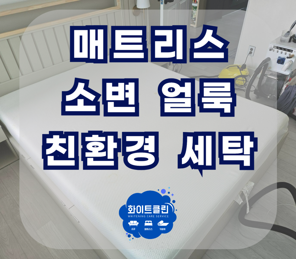 쇼파매트리스카페트청소화이트클린 이미지