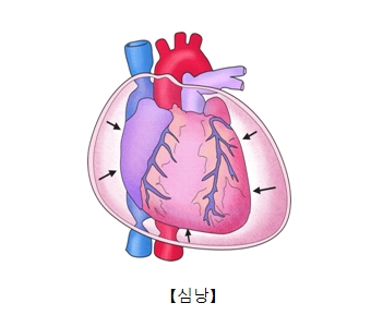 미소들노인전문병원 이미지