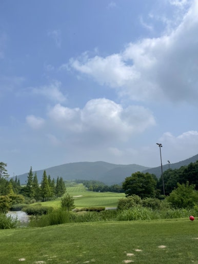 왁골프경주 이미지