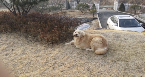 그랜드가든 이미지