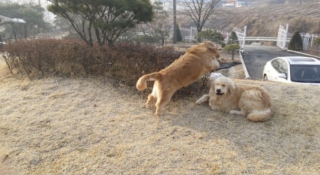 그랜드가든 이미지