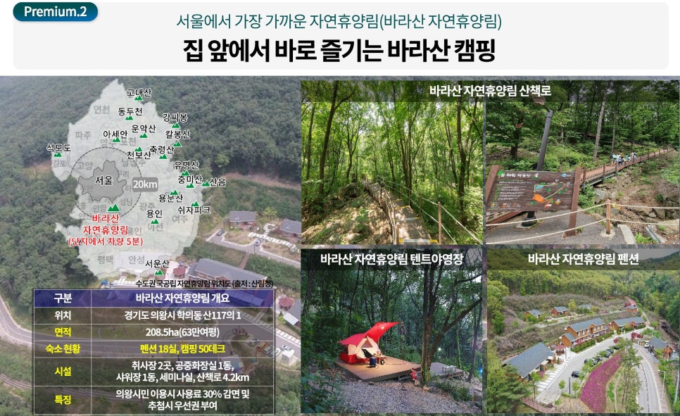 백운산숲속의아침 이미지
