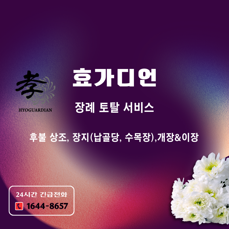 효가디언 이미지