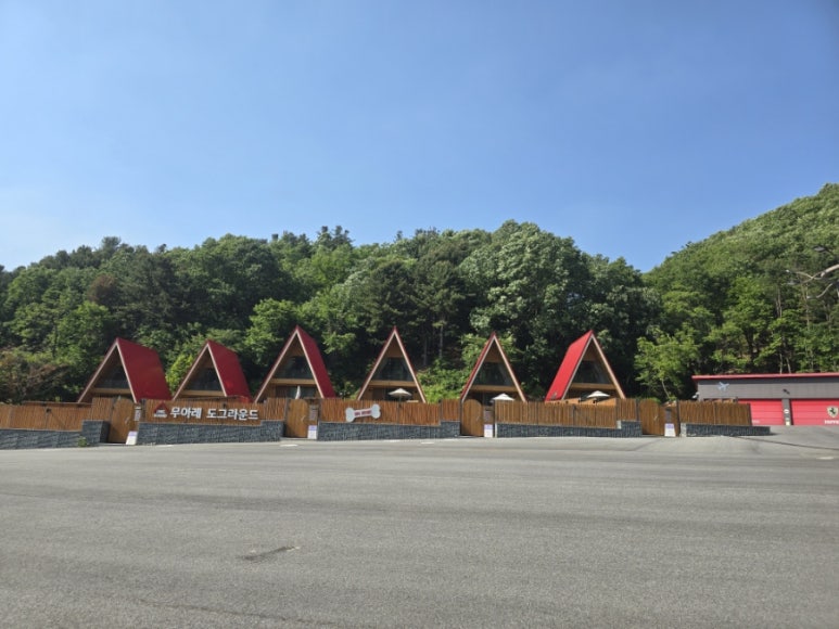 도그라운드 이미지