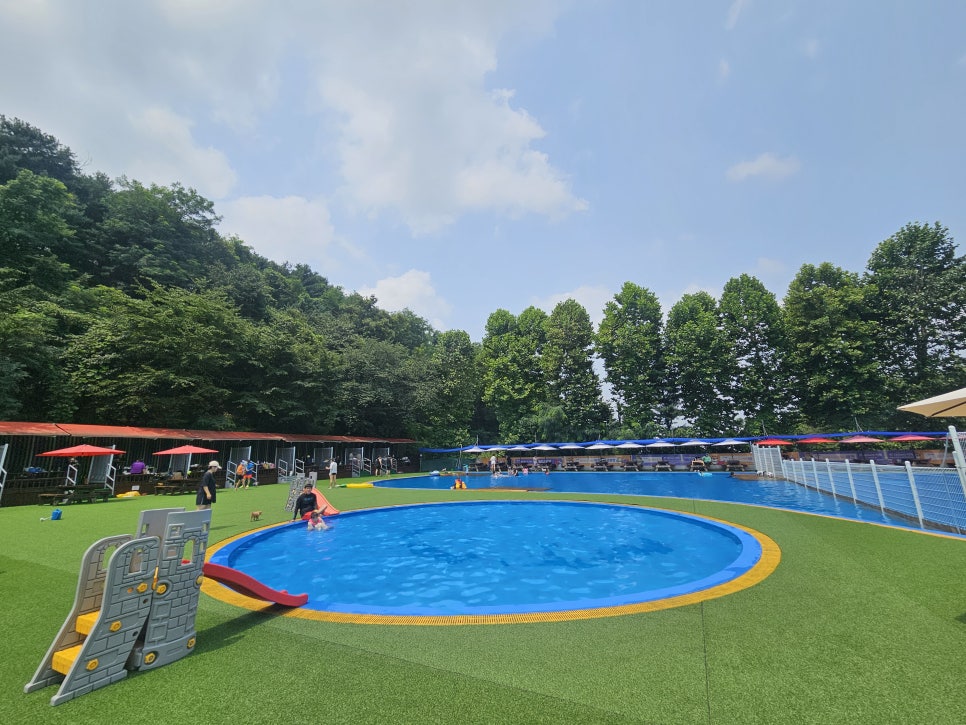 용인 애견 수영장, 취사 가능한 골드펫앤도그베이 — 사진 9