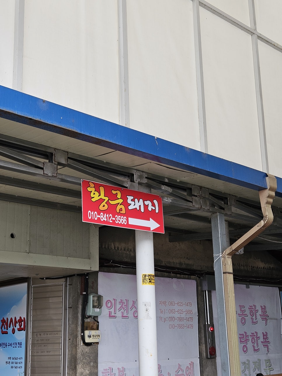 황금 돼지 포차 이미지