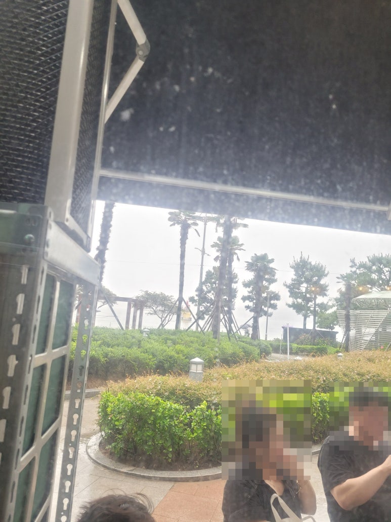 바다풍경치킨 이미지