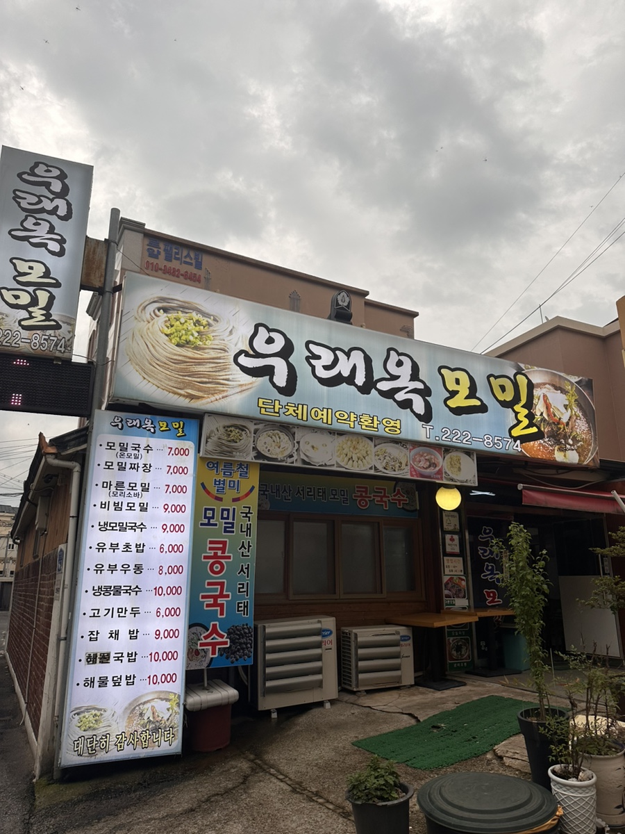 포코아 코코 이미지