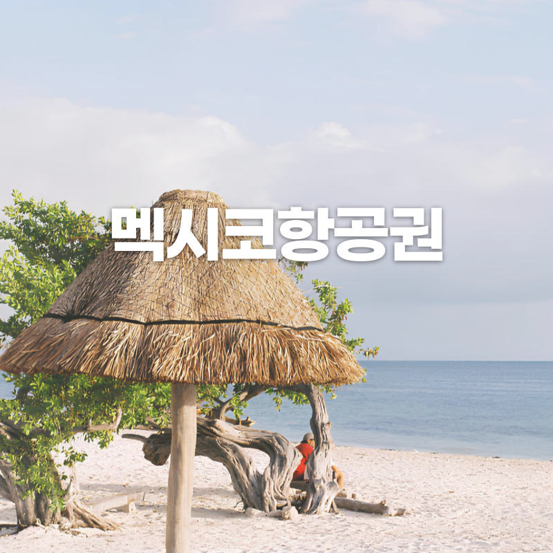 체리쉬투어 이미지